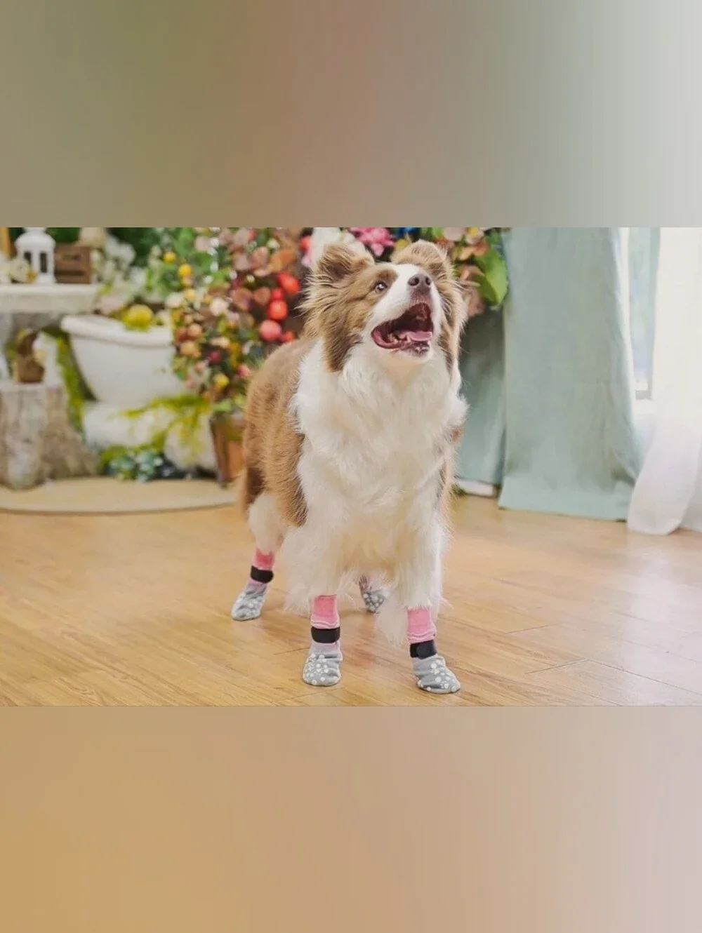 BINGPET Double Side Anti-Slip Dog Socks